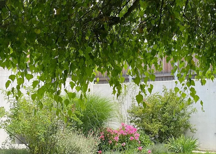 Appartamento Johann Mürzzuschlag